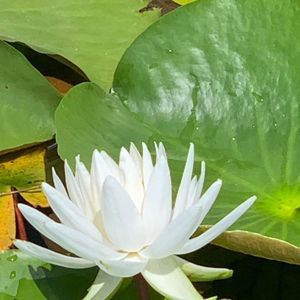 Meet your Posher, Jen